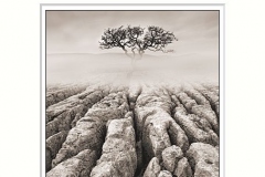 Limestone pavement, Malham Yorkshire